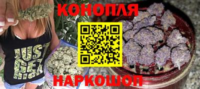 mdpv Можга