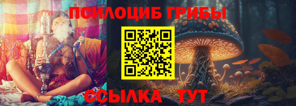 Туймазы  Псилоцибиновые грибы прущие грибы  Вход с VPN 